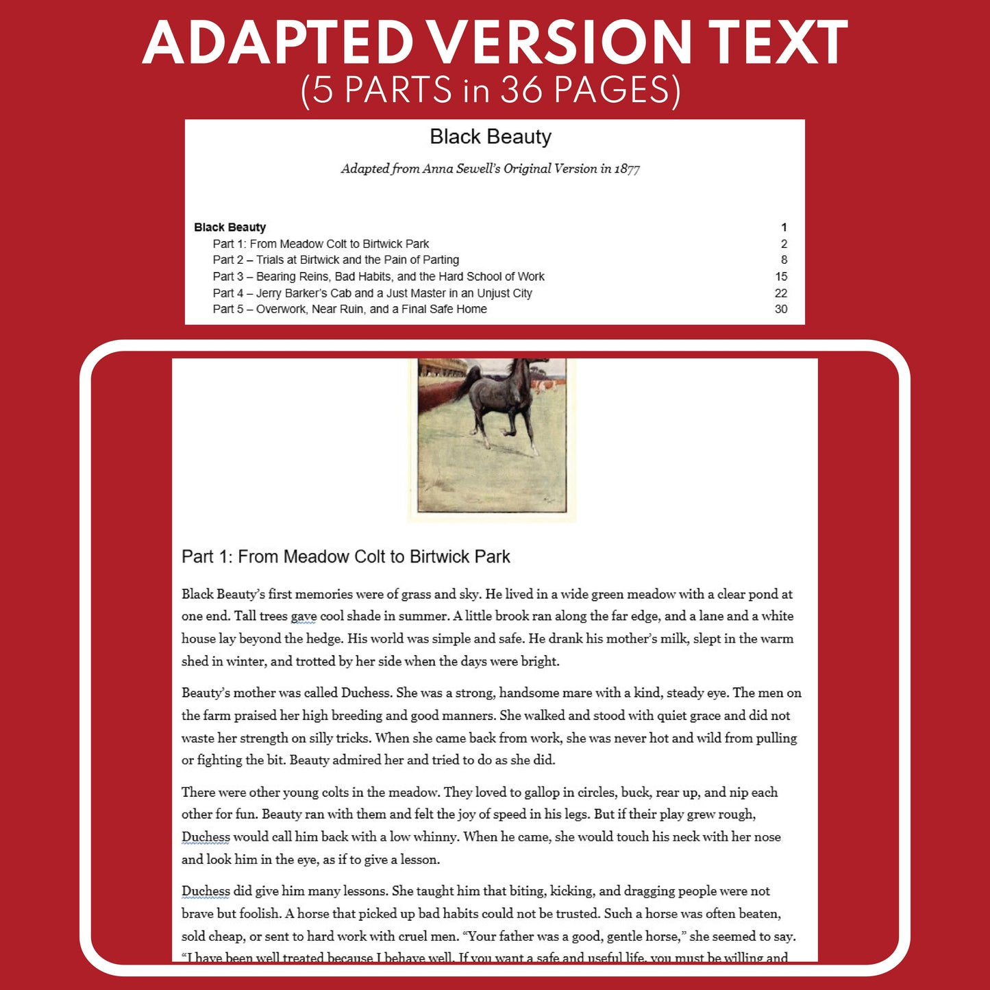 Black Beauty | Full Week Lesson | Adapted Version | Sewell | No Prep