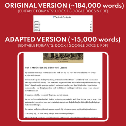 Great Expectations Differentiated Novel Study | ELA Literature | Dickens Lit Set for High School