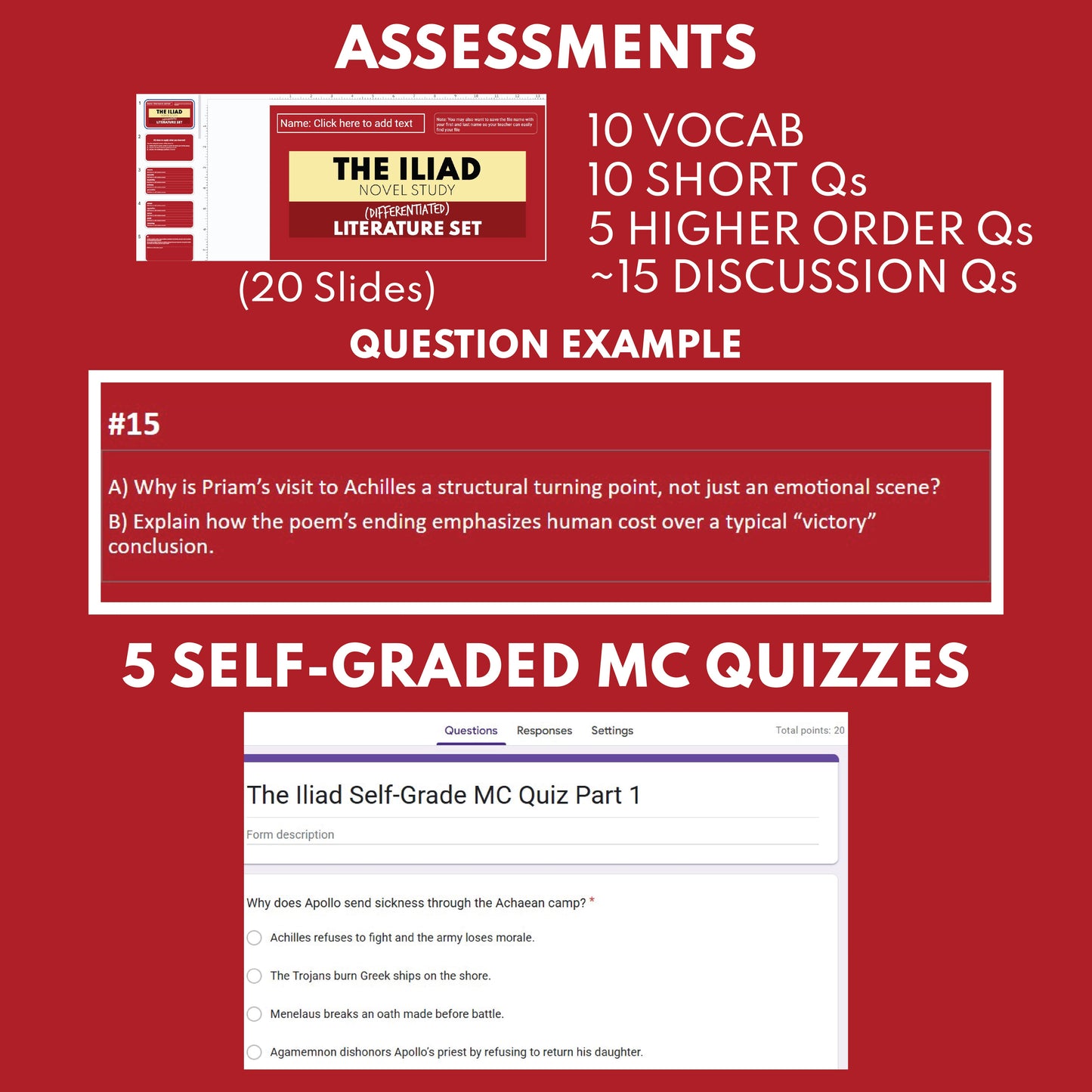 The Iliad by Homer Differentiated Classical Lit Study Guide for Grades 9 to 12