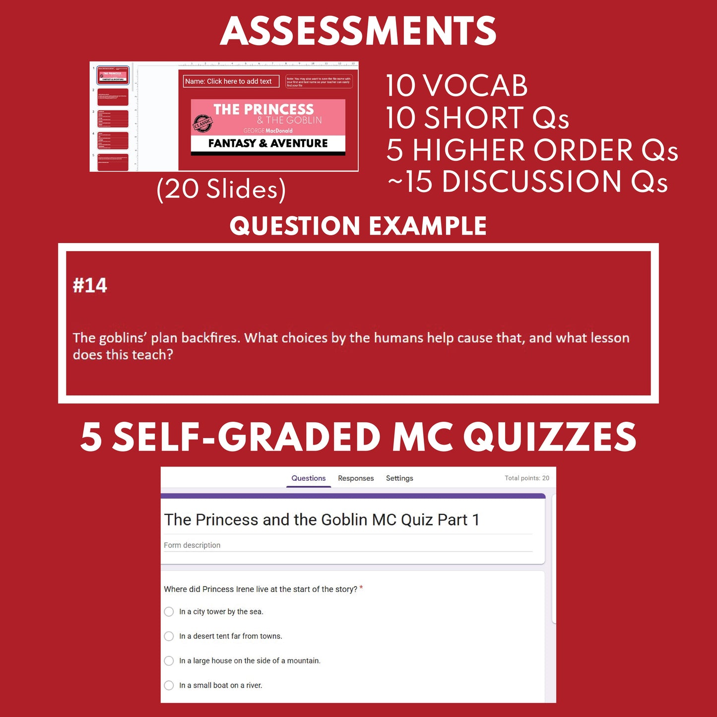 The Princess and the Goblin by George MacDonald Differentiated Study Guide Lit Set for Grades 3 to 5