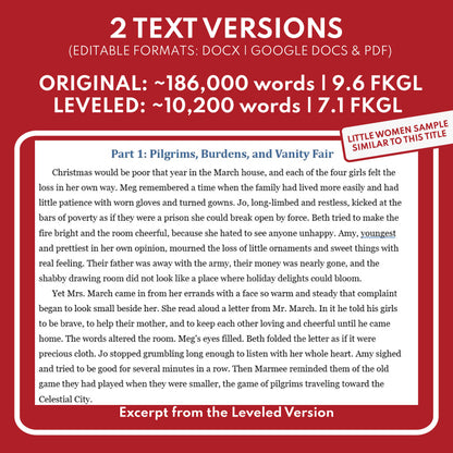 Preview page for the Candide Study Guide study guide